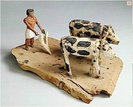 krowy w starożytnym Egipcie