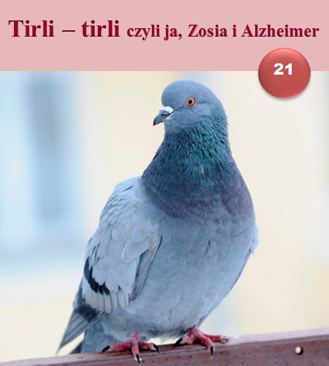 tirli-tirli, czyli ja, zosia i alzheimer 21