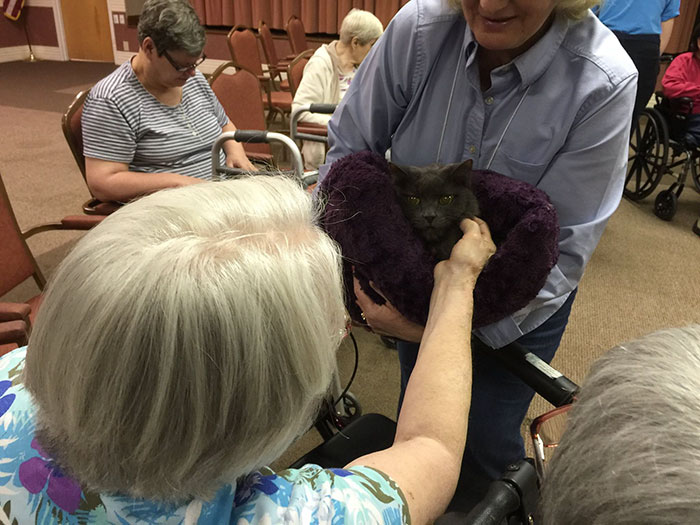 senior-cats-visit-nursing-home-pals-ohio-alleycat-resource-4
